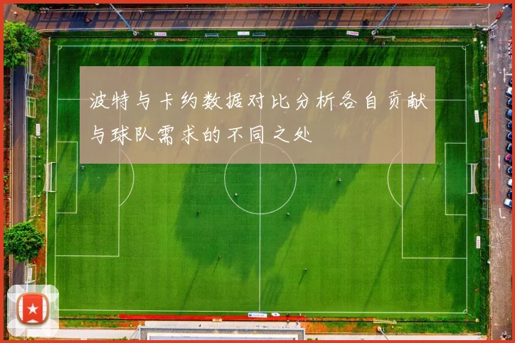 波特与卡约数据对比分析各自贡献与球队需求的不同之处