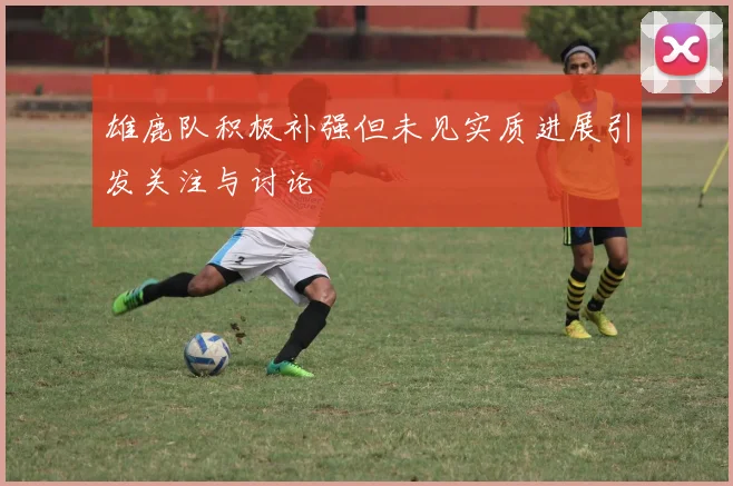 雄鹿队积极补强但未见实质进展引发关注与讨论