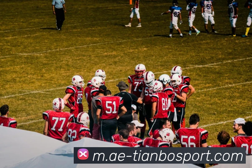 天博足球APP 封面图